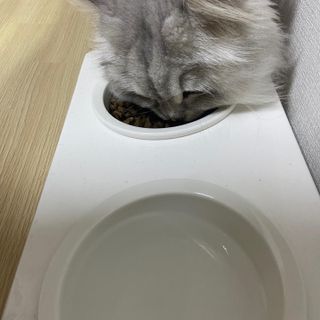 빨간망토유히님이 올린 리뷰 사진 2