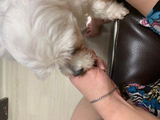 신하늘님이 올린 리뷰 사진 3