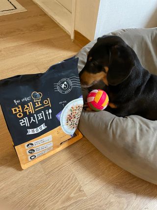 YunjinKo님이 올린 리뷰 사진 2