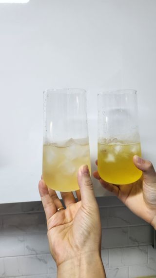 [몽베스트] 위드 더 블랜딩 하우스 콤부차 _ 버라이어티팩II — 5점을 준 리뷰어가 2024년 2월 올린 사용 사진