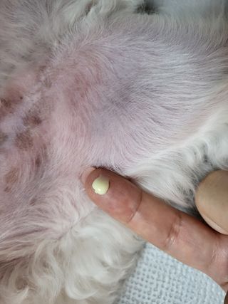 윤토마토님이 올린 리뷰 사진 4
