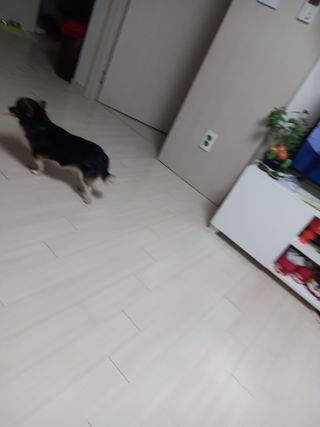 항항항님이 올린 리뷰 사진 3