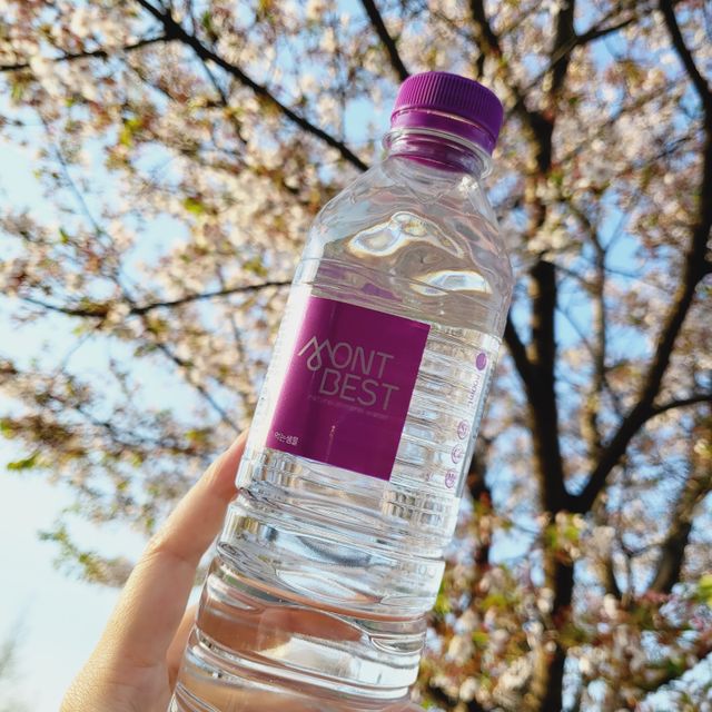 [MONTBEST] 500mL 20병 리뷰 사진