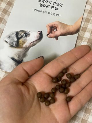 펫21 그로그로 5종 강아지 고양이 반려동물 한방 영양제 — 4.5점을 준 리뷰어가 2021년 11월 올린 사용 사진