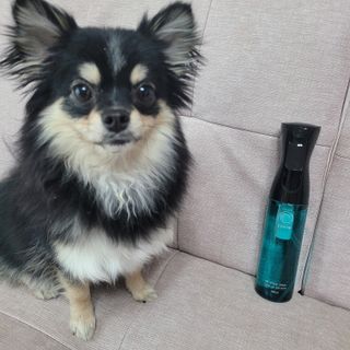 코박 스프레이 살균수  500ml 세트 — 5점을 준 리뷰어가 2022년 5월 올린 사용 사진