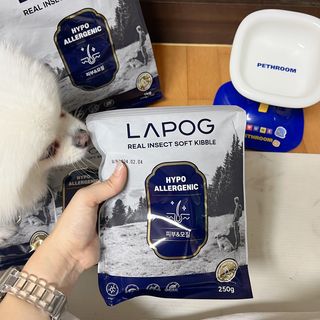 [푸디웜] 라포그 리얼인섹트 소프트키블 스킨 1KG — 5점을 준 리뷰어가 2022년 9월 올린 사용 사진
