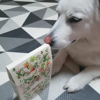 딸랑구둘🥰님이 올린 리뷰 사진 1