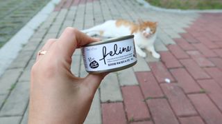 연이님이 올린 리뷰 사진 3