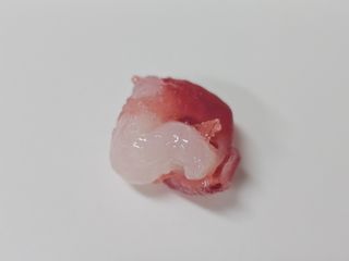 허니귀리님이 올린 리뷰 사진 3