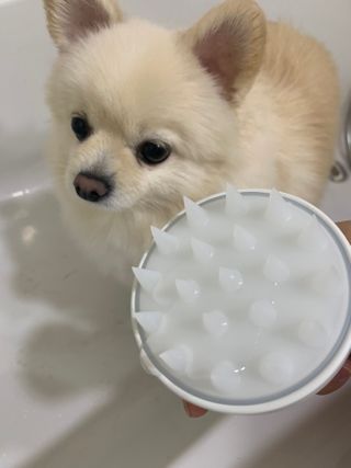 별이빛나길님이 올린 리뷰 사진 3
