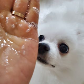 ssosso_yab님이 올린 리뷰 사진 4