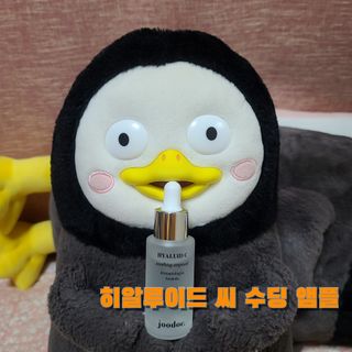 그므시라꼬님님이 올린 리뷰 사진 2