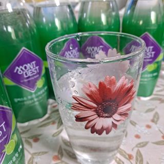 몽베스트 Montbest with Sparkling water Lime20병 — 5점을 준 리뷰어가 2021년 11월 올린 사용 사진