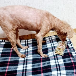 쑤기님이 올린 리뷰 사진 1