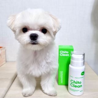 whol 키토클린 200ml - 항균항바이러스 강아지 눈 코 입 귀 세정탈취 고양이 턱드름제거 무향 워터리스 대용량 — 5점을 준 리뷰어가 2022년 10월 올린 사용 사진