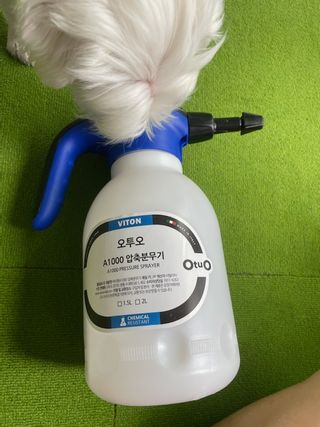 매실님이 올린 리뷰 사진 2