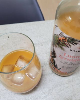 H365 [Kaskein Luomutyrniglögi] 핀란드 전통 무알콜 멀드와인 시벅톤 글로기 — 5점을 준 리뷰어가 2021년 4월 올린 사용 사진