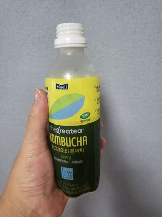 더그레잇티 콤부차 [매일유업] 더그레잇티 44kcal 콤부차 300ml *12개입 (오리지널 6개+베리리치 6개) — 4.5점을 준 리뷰어가 2023년 8월 올린 사용 사진