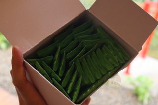 유안님이 올린 리뷰 사진 2