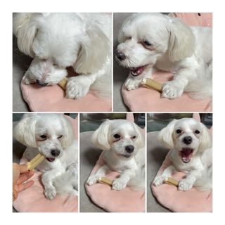 달콩리치님이 올린 리뷰 사진 1
