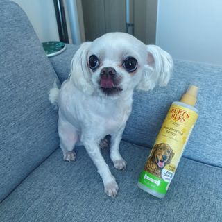 제잉님이 올린 리뷰 사진 1