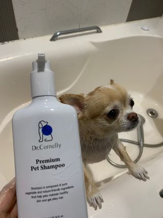 사과어매님이 올린 리뷰 사진 4