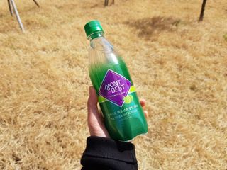 몽베스트 Montbest with Sparkling water Lime20병 — 5점을 준 리뷰어가 2023년 3월 올린 사용 사진