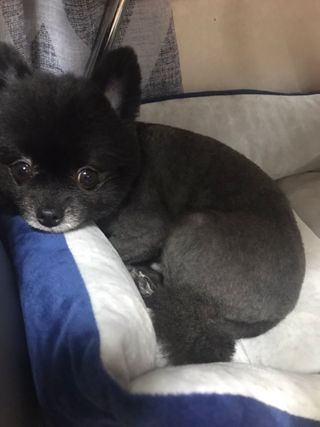 i_Moonsta님이 올린 리뷰 사진 1