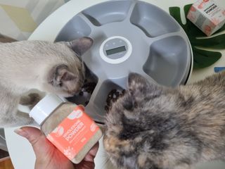byul님이 올린 리뷰 사진 1