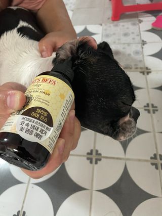 jeinok님이 올린 리뷰 사진 1