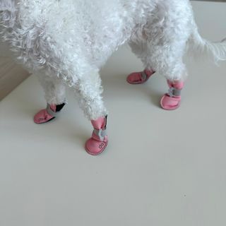 신채연님이 올린 리뷰 사진 1
