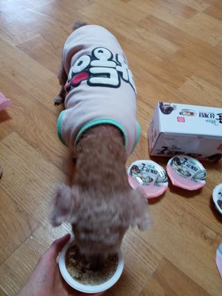 쪼꼬사랑이언니님이 올린 리뷰 사진 3