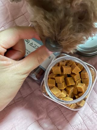 페페로니 진짜 오메가3 연어+소고기 180g+180g — 4.5점을 준 리뷰어가 2021년 7월 올린 사용 사진