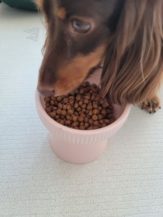 llalla님이 올린 리뷰 사진 2