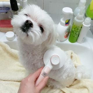 lala님이 올린 리뷰 사진 3