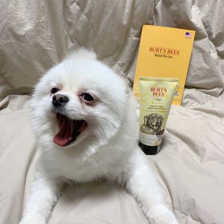 오랑이님이 올린 리뷰 사진 1