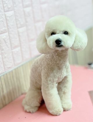 수원여신님이 올린 리뷰 사진 1