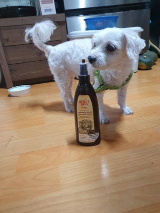 이챠님이 올린 리뷰 사진 3