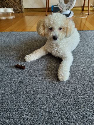 귀요미두공주맘님이 올린 리뷰 사진 3