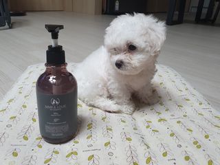 엘쏘둥님이 올린 리뷰 사진 1