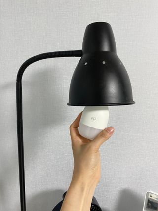 코랑이님이 올린 리뷰 사진 1