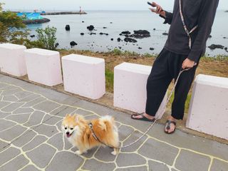 좋아님이 올린 리뷰 사진 4