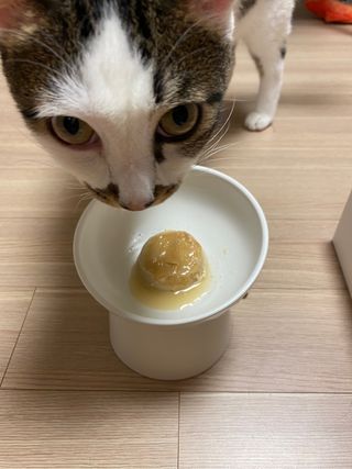 Elin님이 올린 리뷰 사진 4