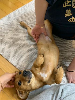 승희님이 올린 리뷰 사진 3