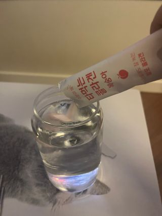 [음료수 대신 가능!]  빠르게 흡수되는 아임오 타먹는 콜라겐 1박스 — 5점을 준 리뷰어가 2023년 3월 올린 사용 사진