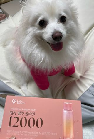 구름님이 올린 리뷰 사진 3