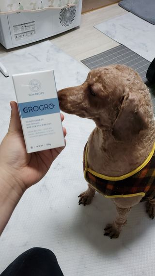 펫21 그로그로 5종 강아지 고양이 반려동물 한방 영양제 — 5점을 준 리뷰어가 2021년 11월 올린 사용 사진