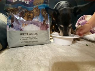 키메진님이 올린 리뷰 사진 1