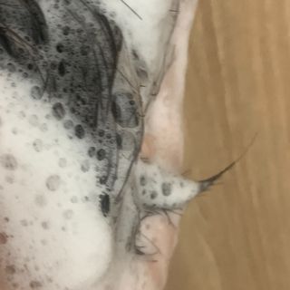 수린님이 올린 리뷰 사진 3