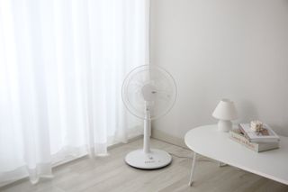 베베샤님이 올린 리뷰 사진 2